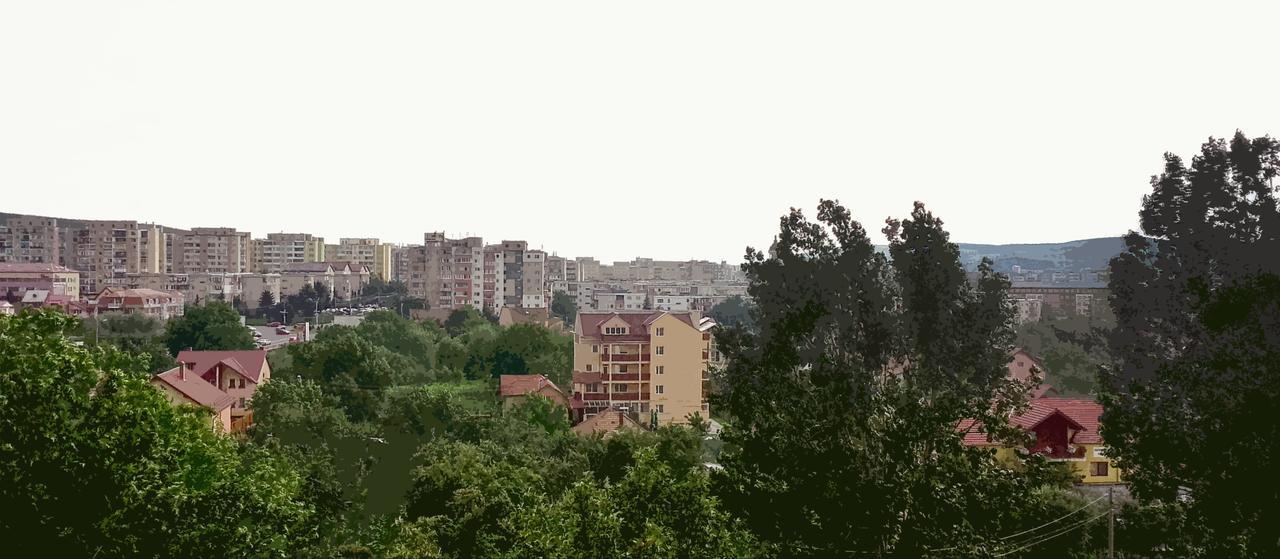 Vila Rosa 2 Cluj-Napoca Exterior foto